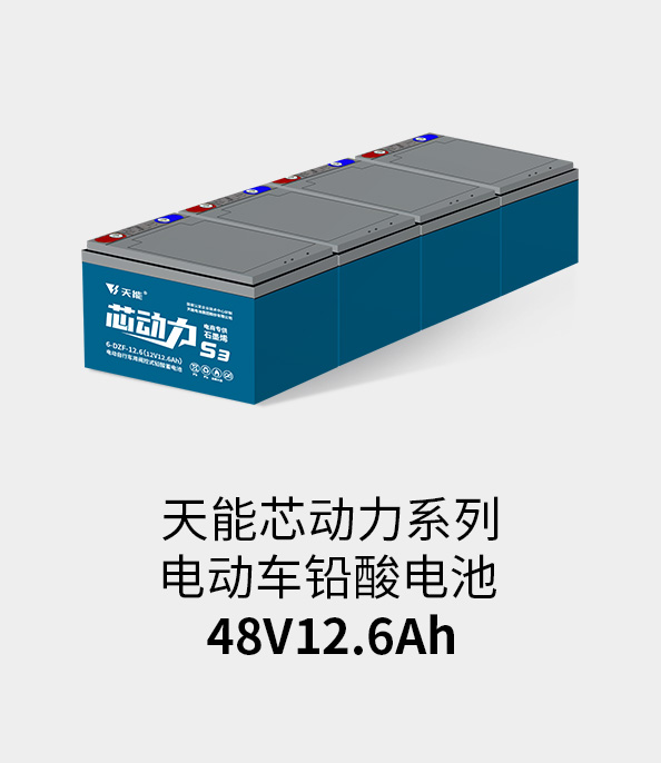 金年会电池48v12ah