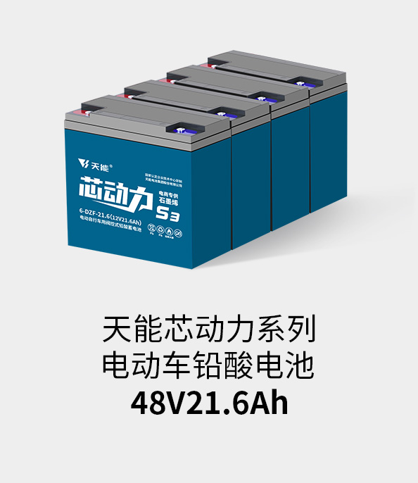 金年会电池48v20ah