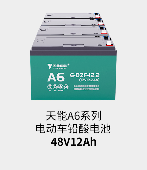 金年会电池48v12ah