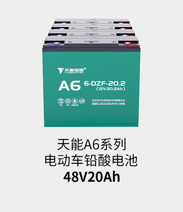 金年会电池48v20ah