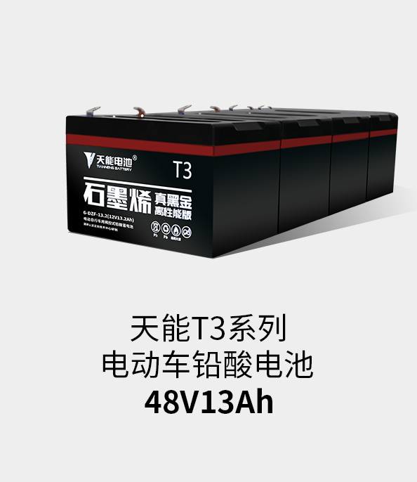 金年会T3系列48v13ah