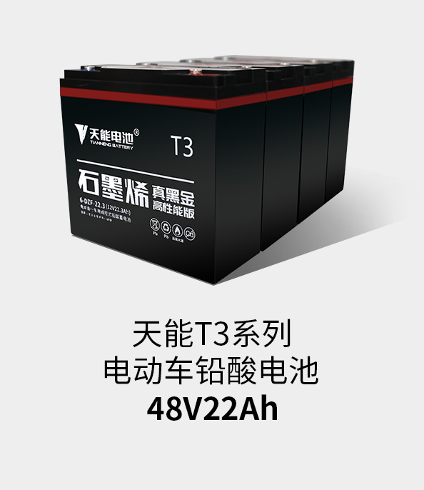 金年会T3系列48v22ah